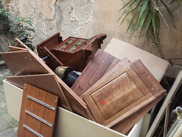 Yard Cleanup Services in Eaton, CO